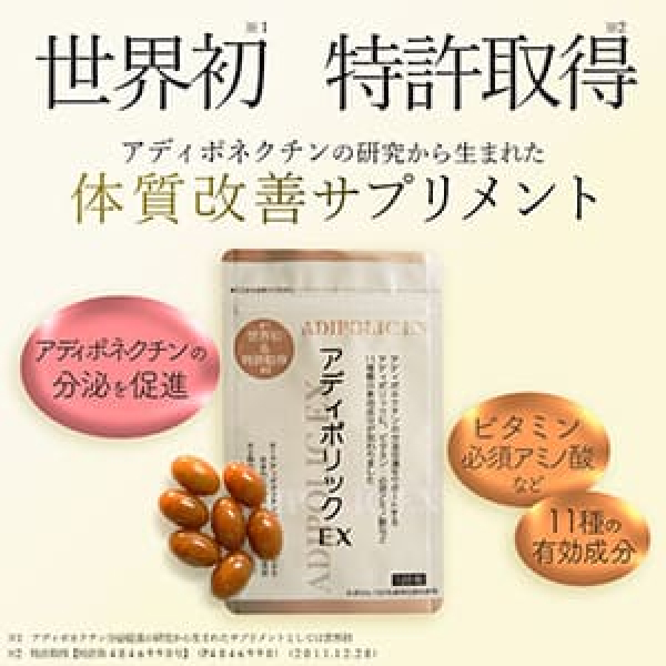 ECサイト挿入画像の画像