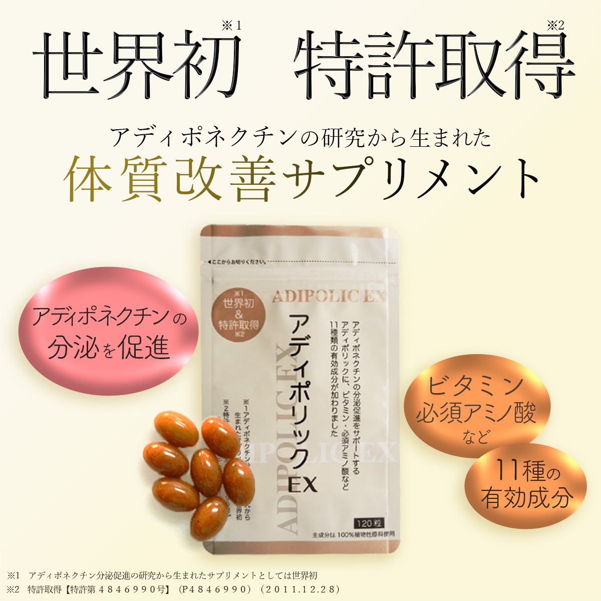 ECサイト挿入画像の画像