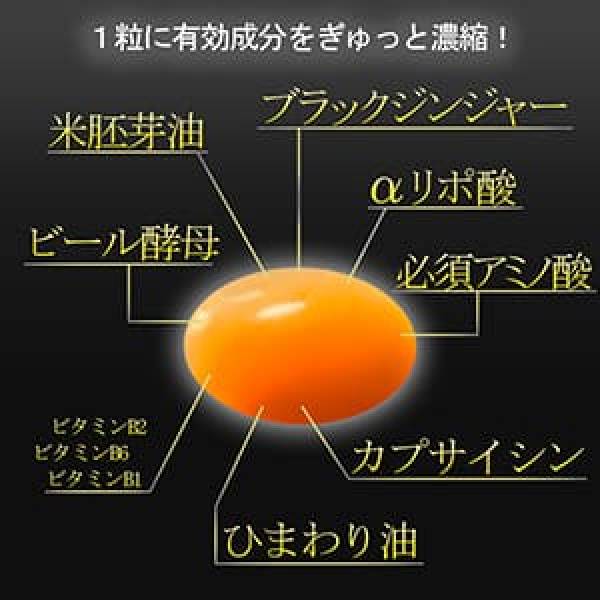 ECサイト挿入画像の画像