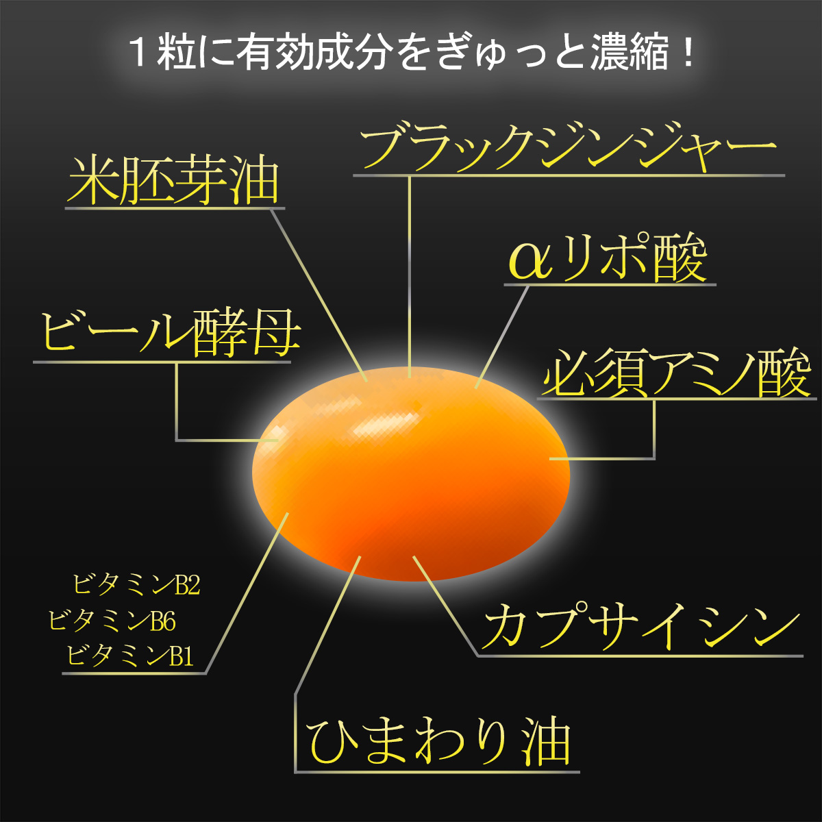 ECサイト挿入画像の画像