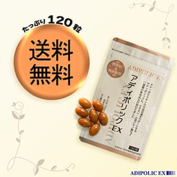 ECサイト挿入画像の画像