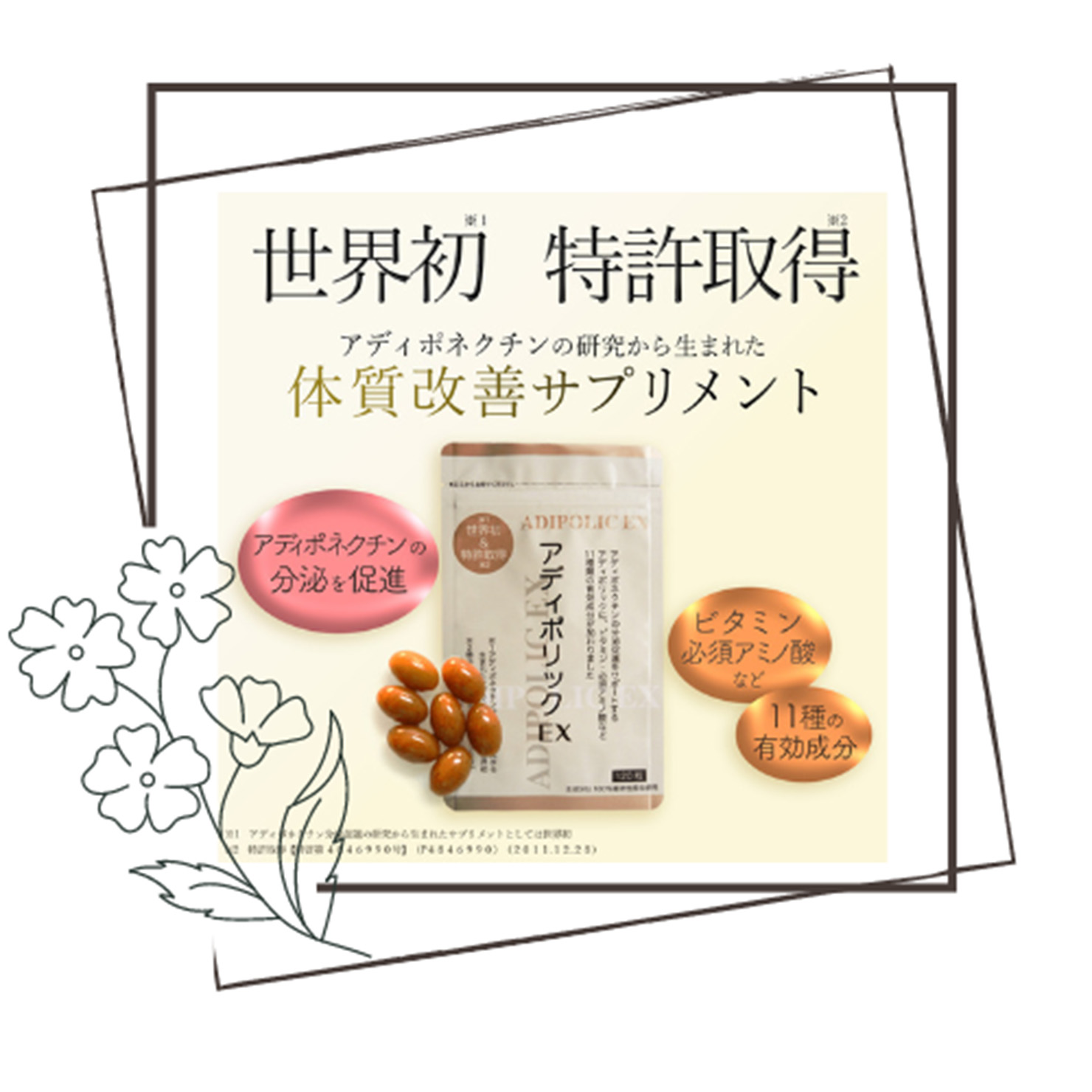 ECサイト挿入画像の画像